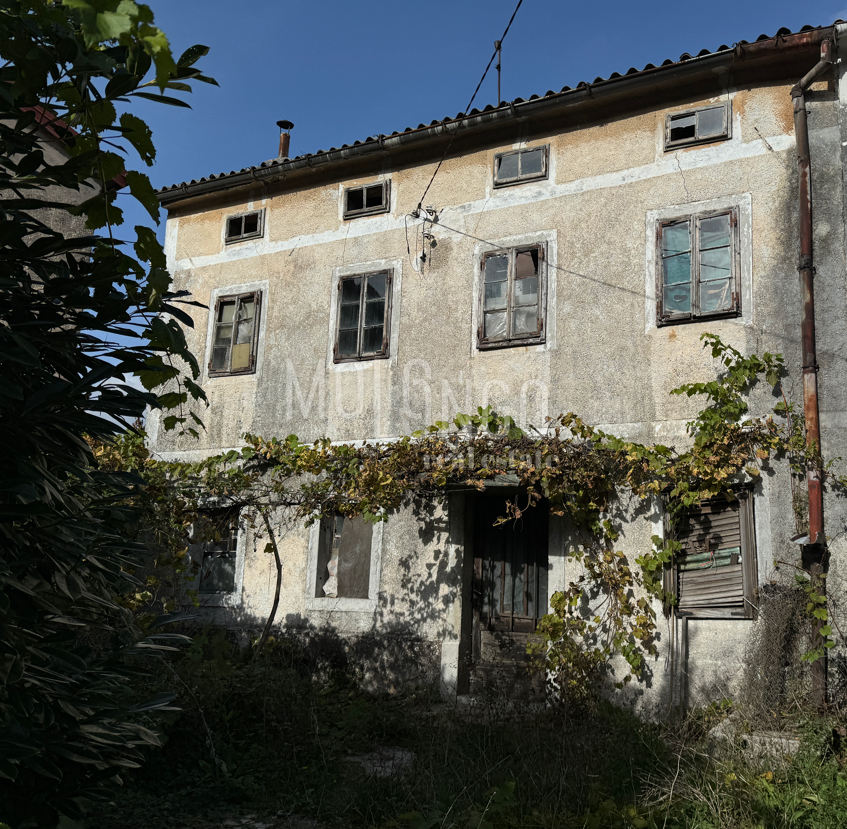 Fotografija