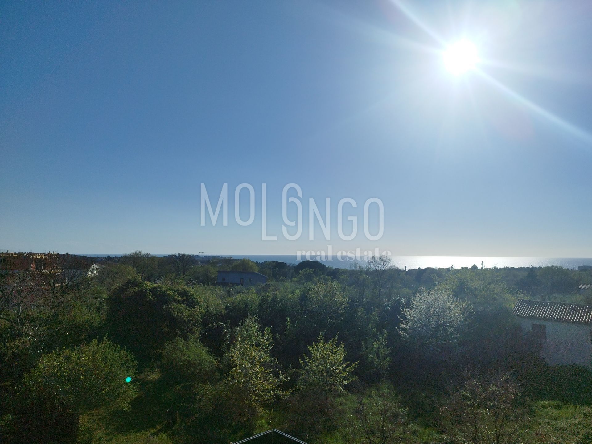Fotografija