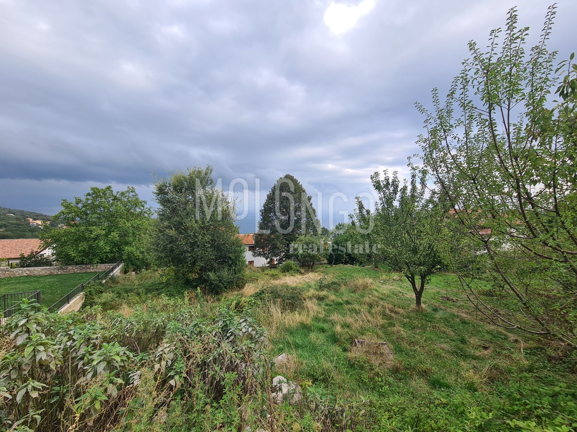Fotografija