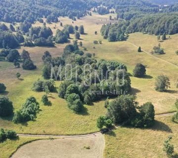 GORSKI KOTAR BEGOVO RAZDOLJE, građevno-poljop. teren 2554 m2 - T2 zona - cover