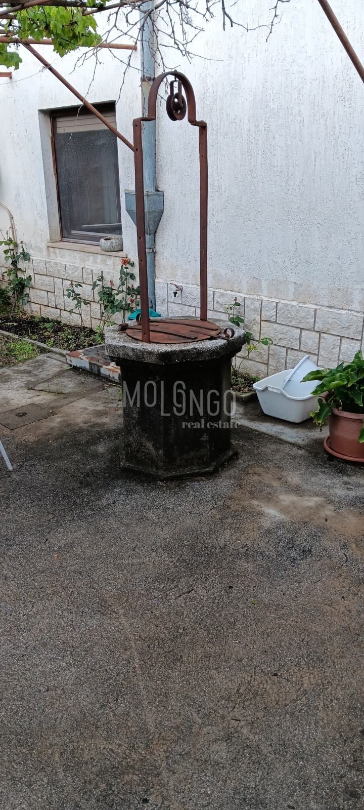 Fotografija