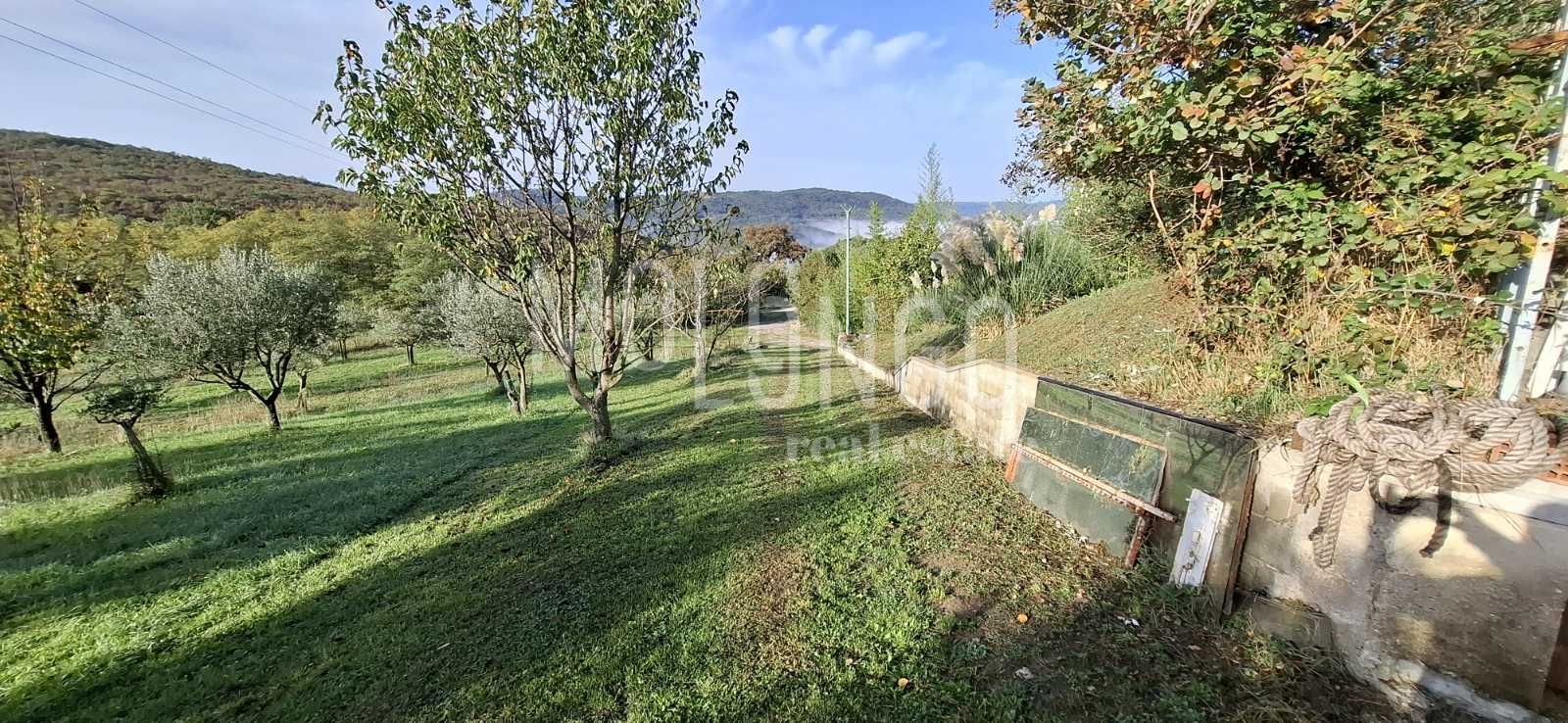 Fotografija