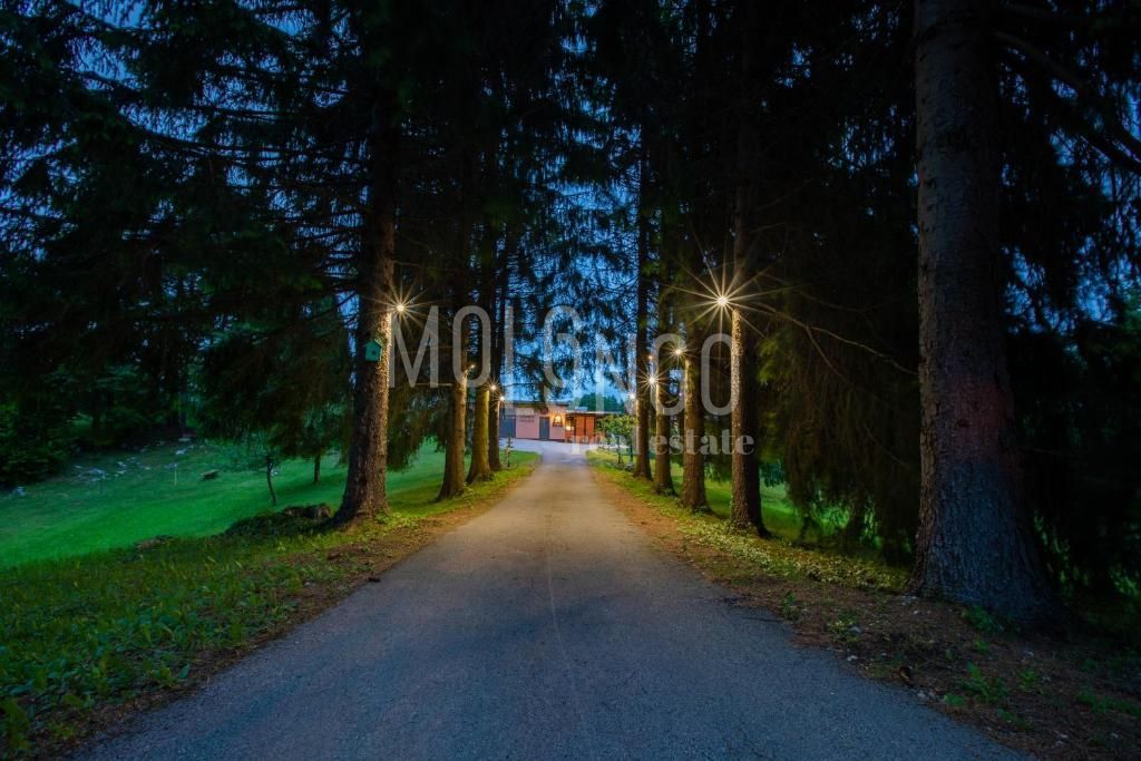 Fotografija