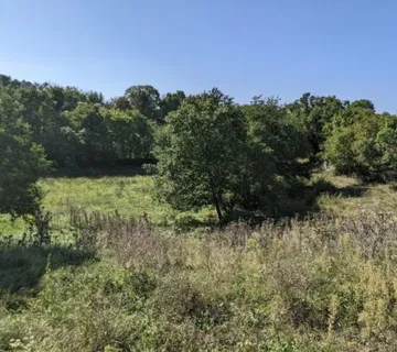 Istra, Svetvinčenat, kompleks građevinskog i poljoprivrednog zemljišta - cover