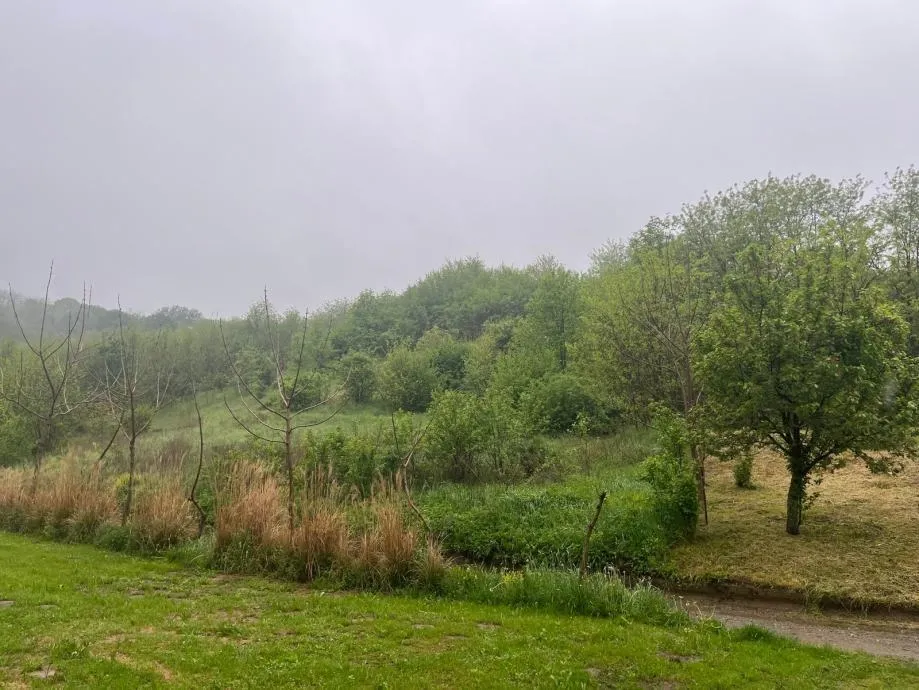 Građevinsko zemljište, Sveti Đurađ, Virovitica, 1126 m2 - cover