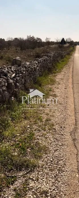 Fotografija