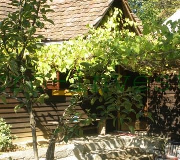 Velika Ludina, kuća na zemljištu površine 2571 m2 - cover