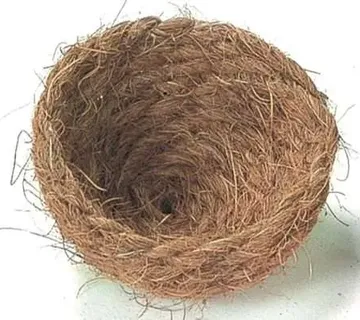 Gnijezdo od kokosa 9cm - cover