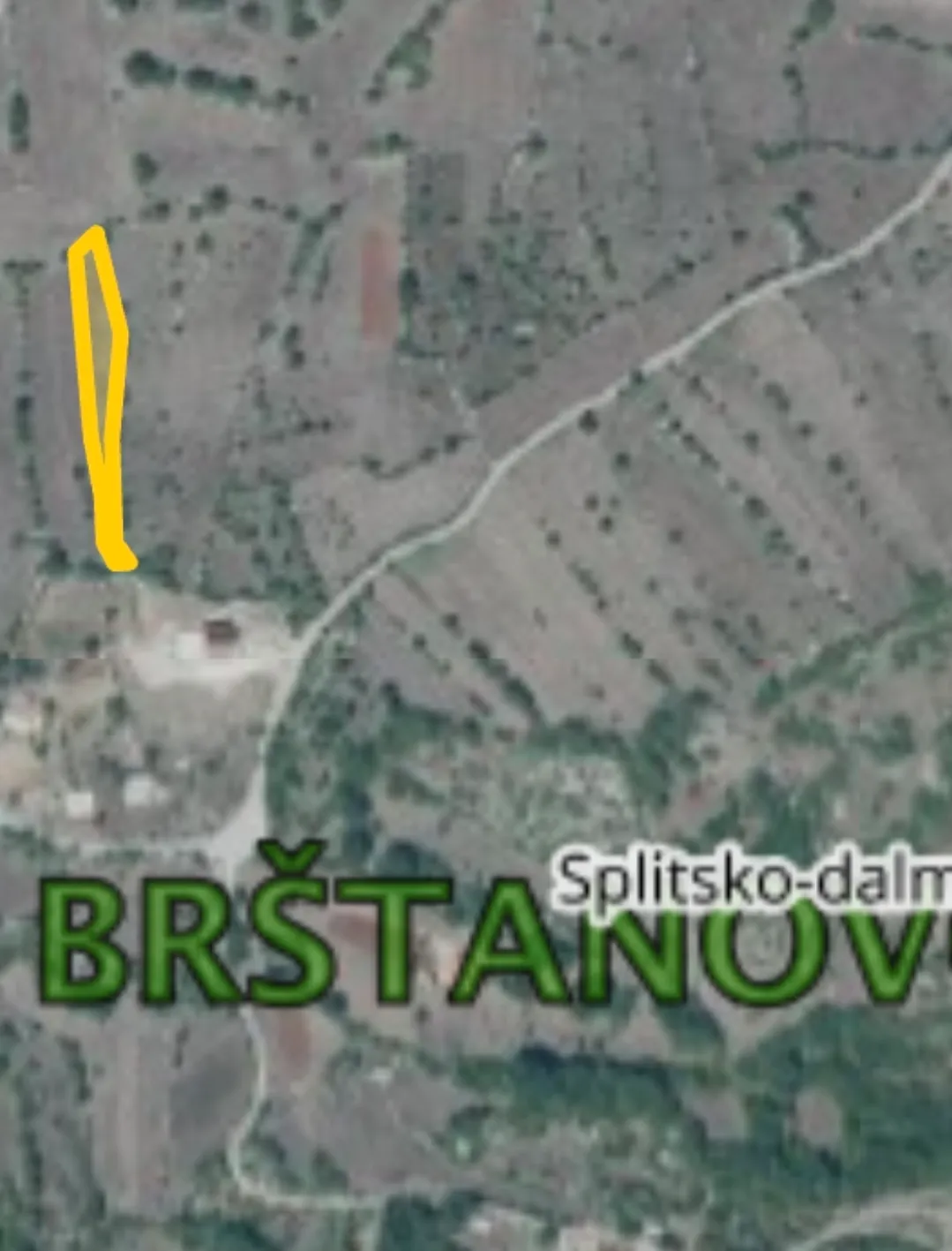 Fotografija