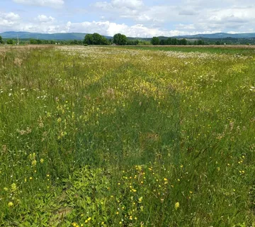 Poljoprivredno zemljište 5000 m², Perušić - cover