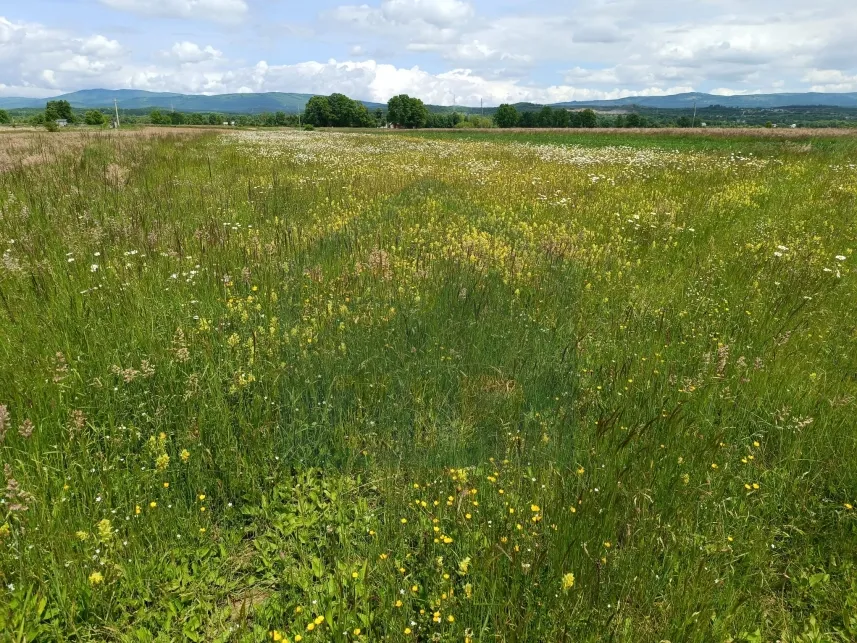 Poljoprivredno zemljište 5000 m², Perušić - cover