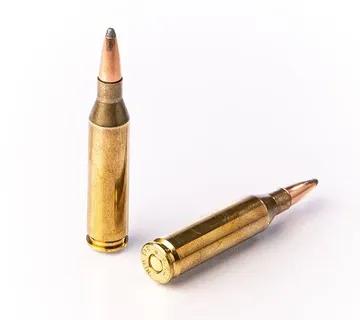 Karabinsko streljivo FIOCCHI .243 Win SP 6,5g / 100gr - cover