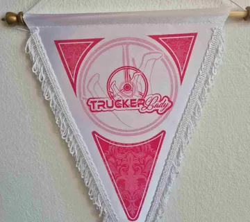 Zavjesica -TRUCKER LADY - cover