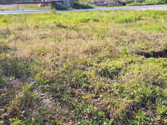 Istra, Zemljište s građevinskom dozvolom u blizini Labina - cover