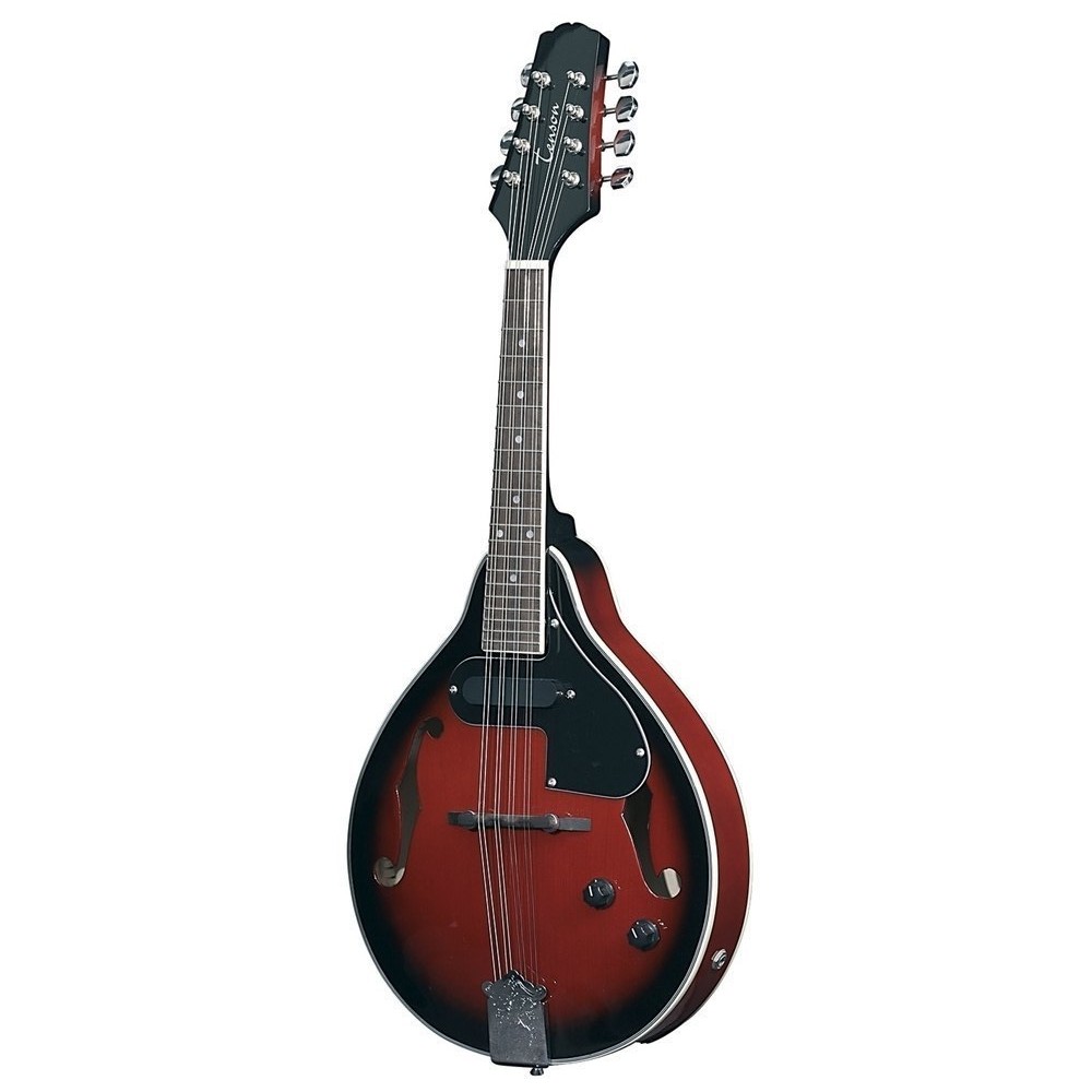 TENSON MANDOLIN F505.410 - cover