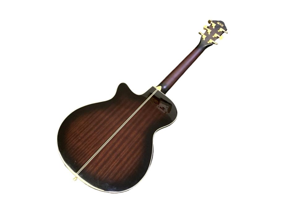 ELEKRO-AKUSTIČNA GITARA IBANEZ AEG24II-TGB1204 / R1, RATE - cover
