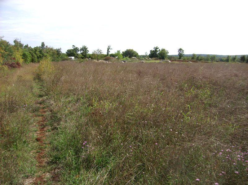 Poljoprivredno zemljište: Bale, 9360 m2 - cover