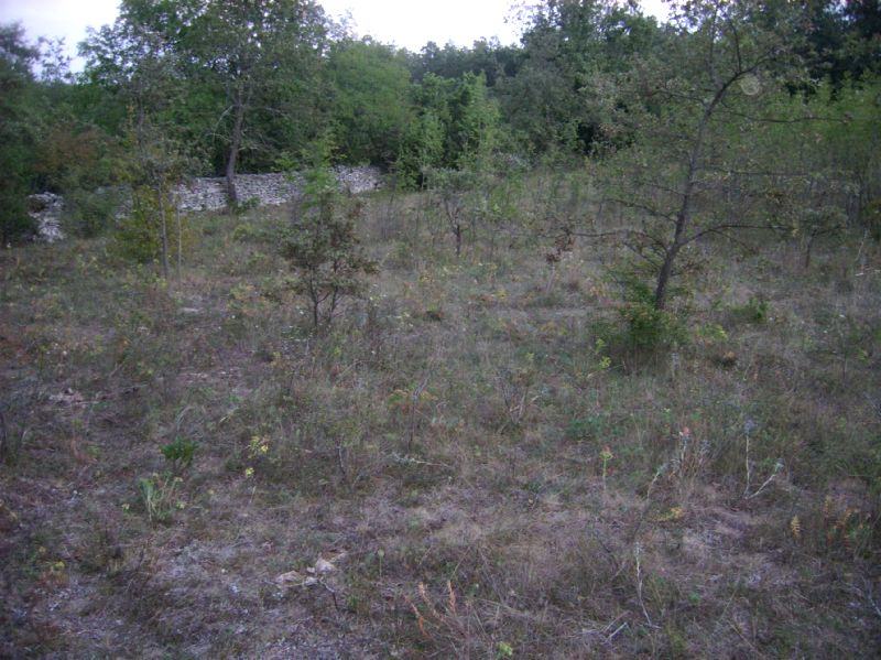 Poljoprivredno zemljište: Tinjan, Radetići, 17000 m2 - cover