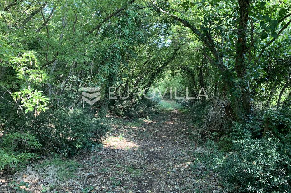 Poreč iznad Plave lagune atraktivno poljoprivredno zemljište - cover