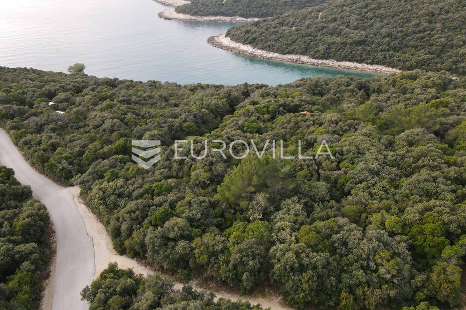 Istra, Kavran - poljoprivredna parcela 100 m od MORA - cover