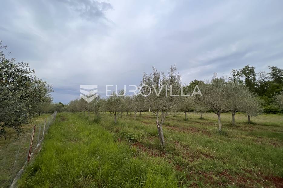 Istra, Materada, građevinsko zemljište 1720m2 - cover