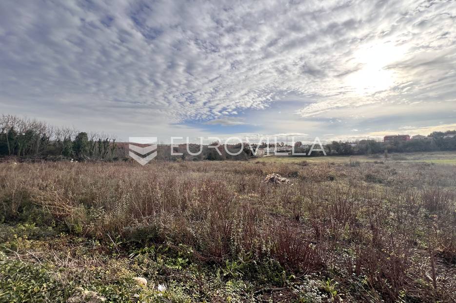 Istra, Tar - vrhunsko ekskluzivno građevinsko zemljište na top lokaciji, 666 m2 - cover