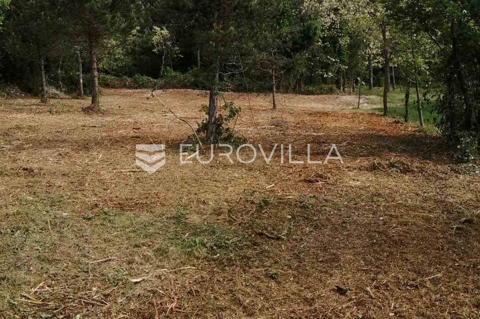Istra, okolica Labina, građevinsko zemljište 3000 m2 - cover