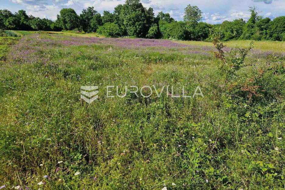 Rakalj, građevinsko i poljoprivredno  zemljište  od 1933 m2 - cover