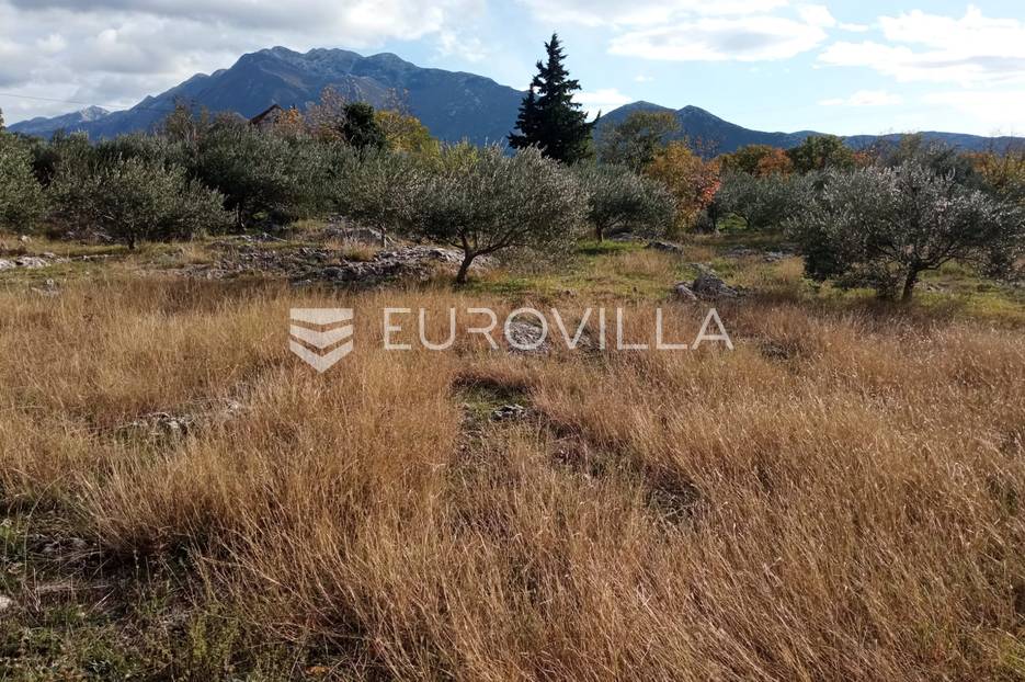 Šestanovac, atraktivna parcela uz put, 5500 m2 - cover