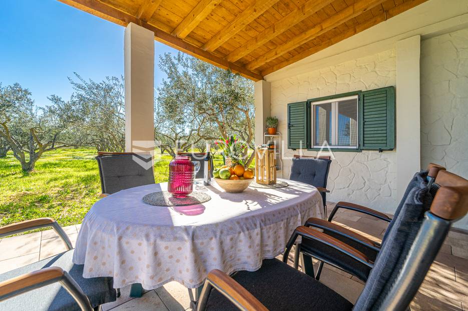 Hvar, Stari Grad, prekrasna kuća u masliniku na zemljištu od 2309 m2 - cover