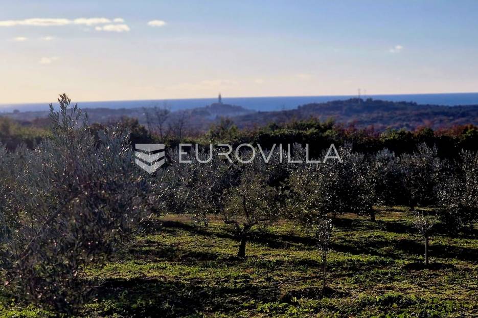Istra, Rovinj, projekt s dozvolom za gradnju kuće 120m2 na zemljištu s maslinikom 16000m2 - cover
