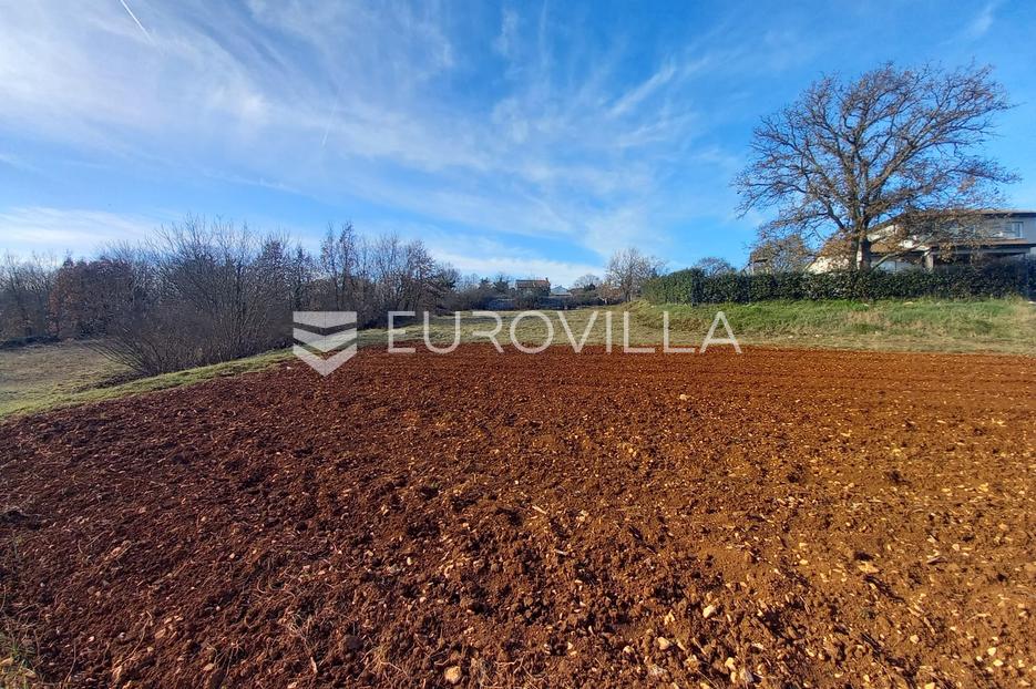 Tinjan, kompleks građevinskog i poljoprivrednog zemljišta - cover