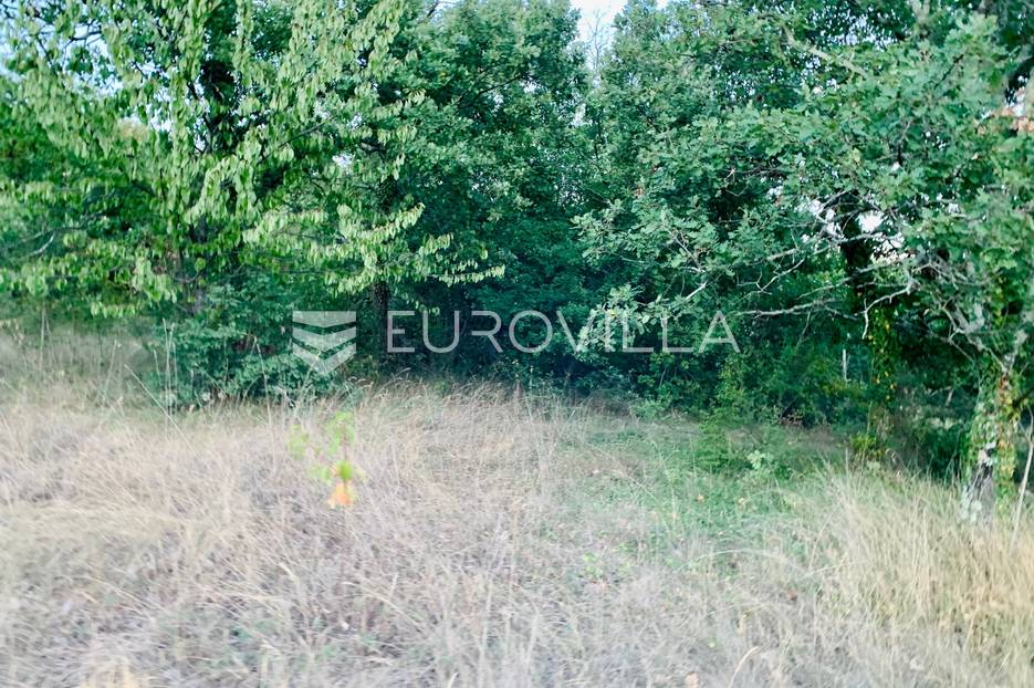 Poreč, poljoprivredno zemljište iznad Plave lagune! - cover