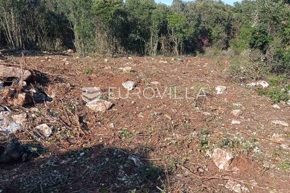 Marčana, Kavran, poljoprivredno zemljište 1600 m2 - cover