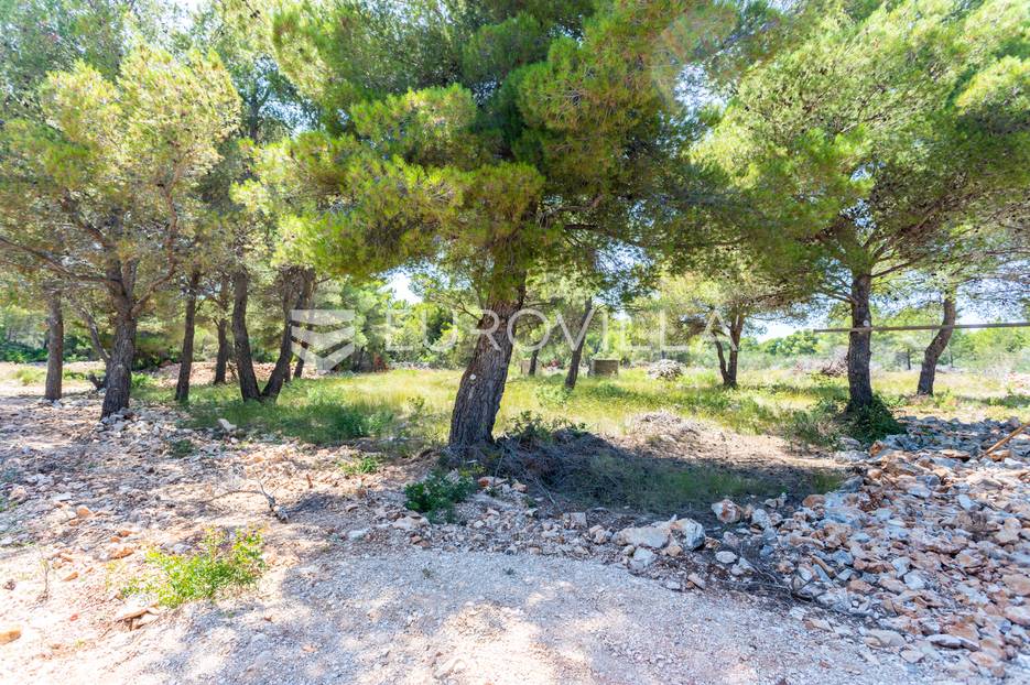 Brač, Milna građevinsko zemljište s pogledom na more - cover