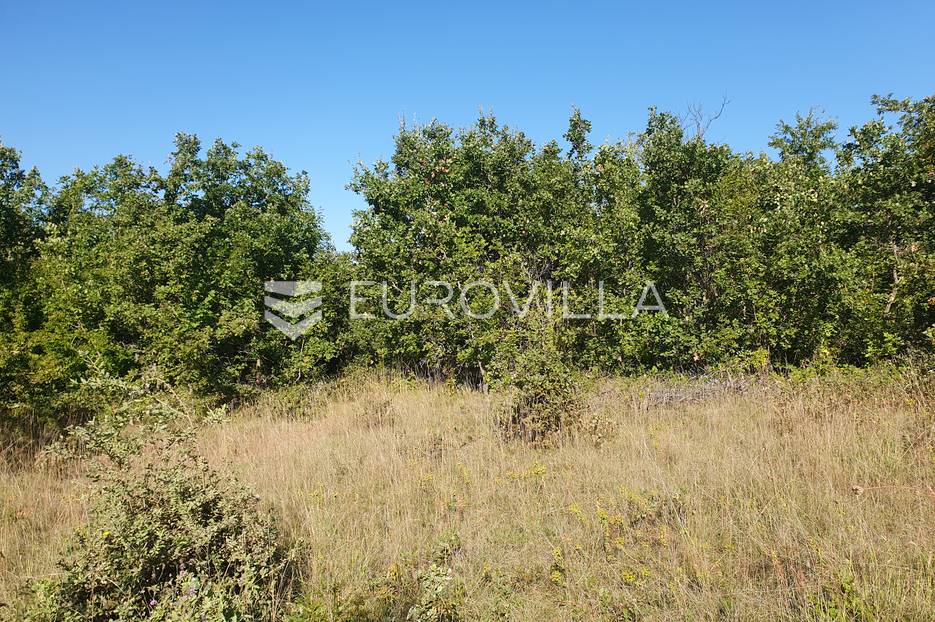 Istra, Baderna, poljoprivredno zemljište 12.120m2 - cover
