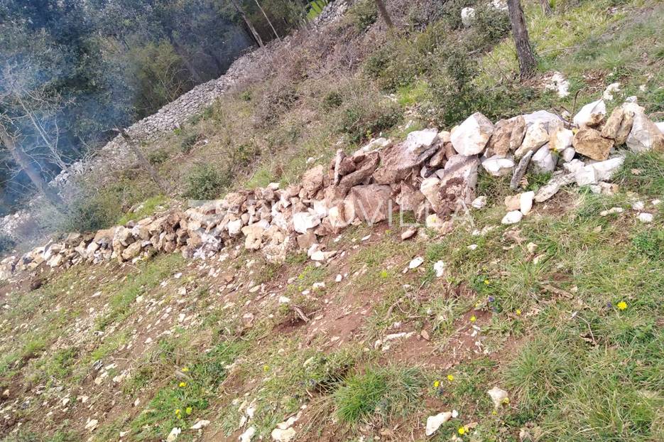 Duga Uvala, poljoprivredno zemljište 400m 2 - cover