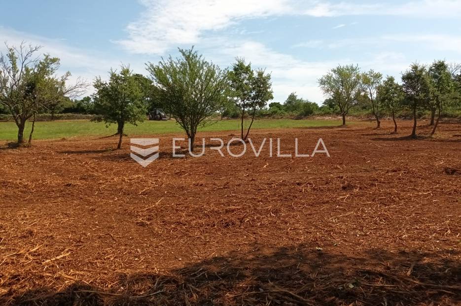 Istra, Juršići, parcelirana građevinska zemljišta 2.250 m2 zajedno s 4.450 m2 poljoprivrednog - cover