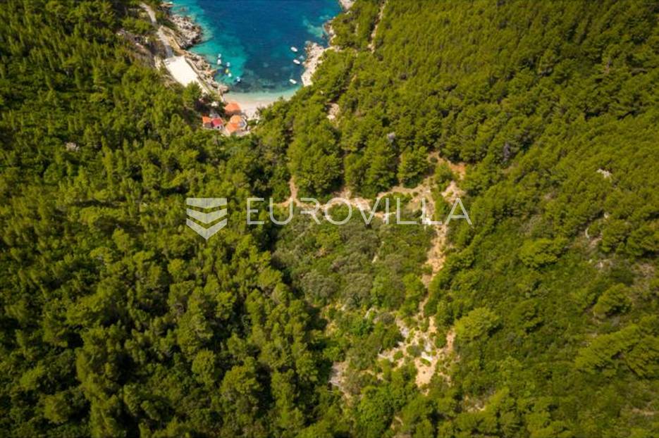 Mljet, Babino Polje Građevinsko zemljište 6.515 m2 (70m od mora) - cover