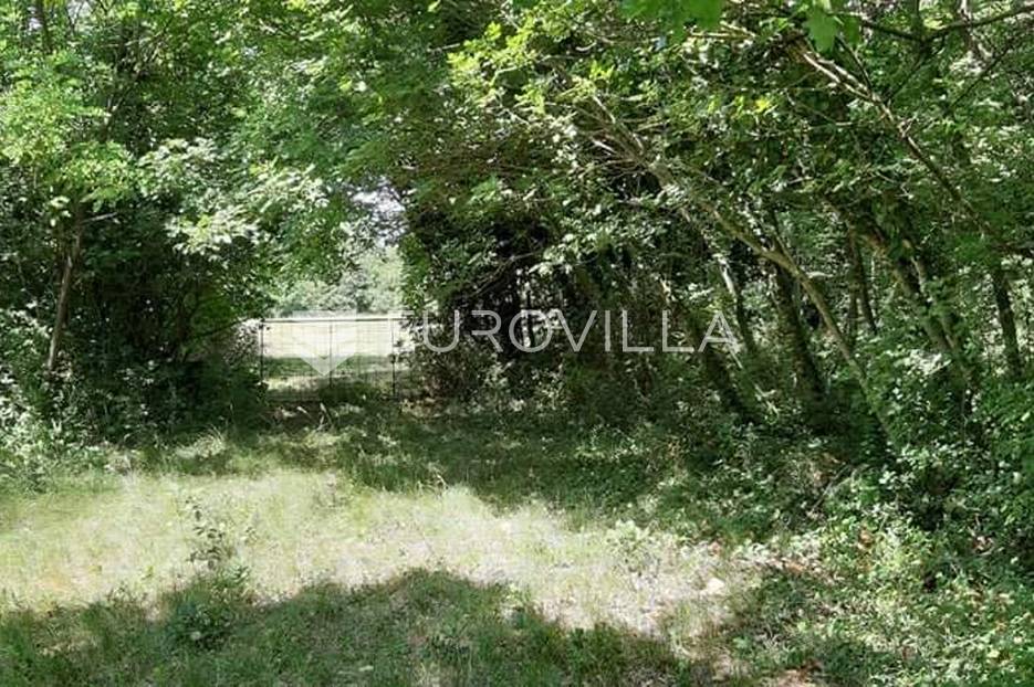 Istra, Žminj, građevinsko zemljište mješovite namjene 13.400 m2 - veliki potencijal - cover