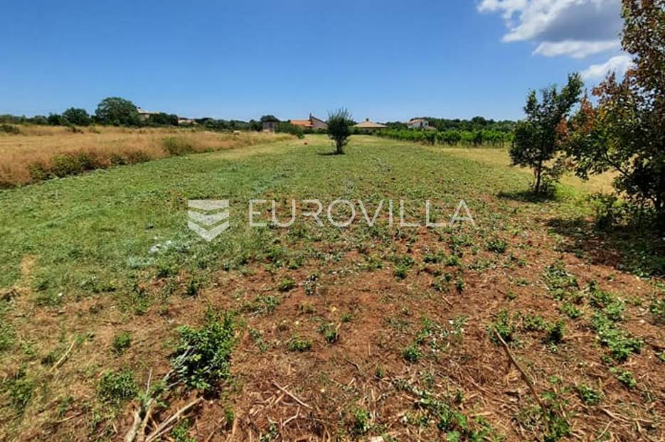 Istra, Muntić - građevinsko zemljište na mirnoj lokaciji 904 m2 - cover