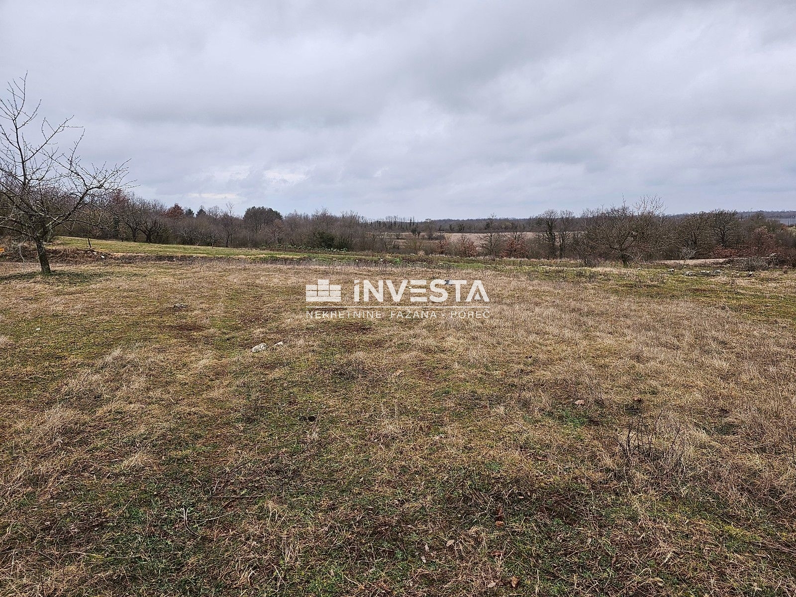 Žminj, prostrano građevinsko-poljoprivredno zemljište, 15.258 m2 - cover