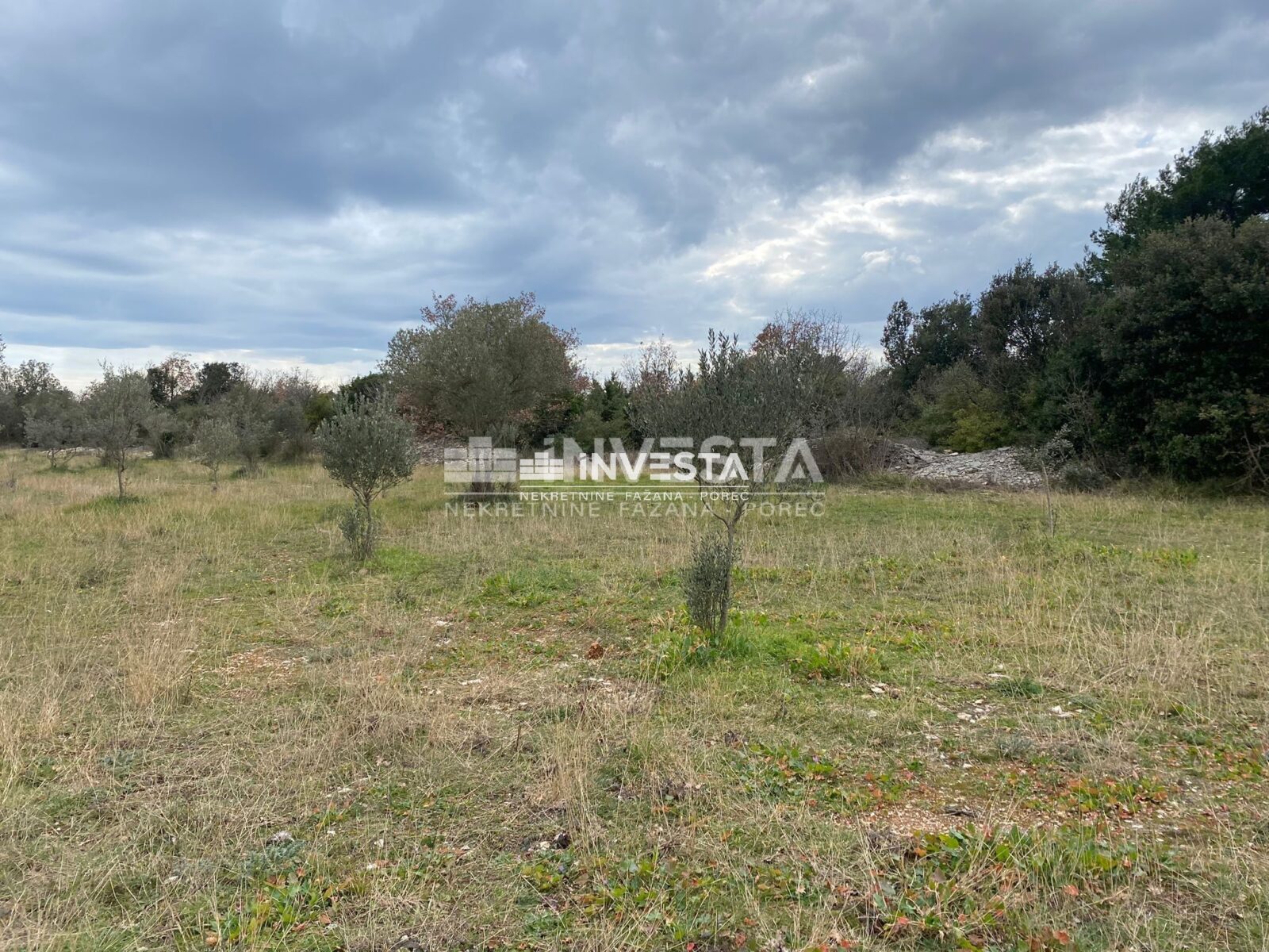 Fažana, maslinik 2400 m2 - cover