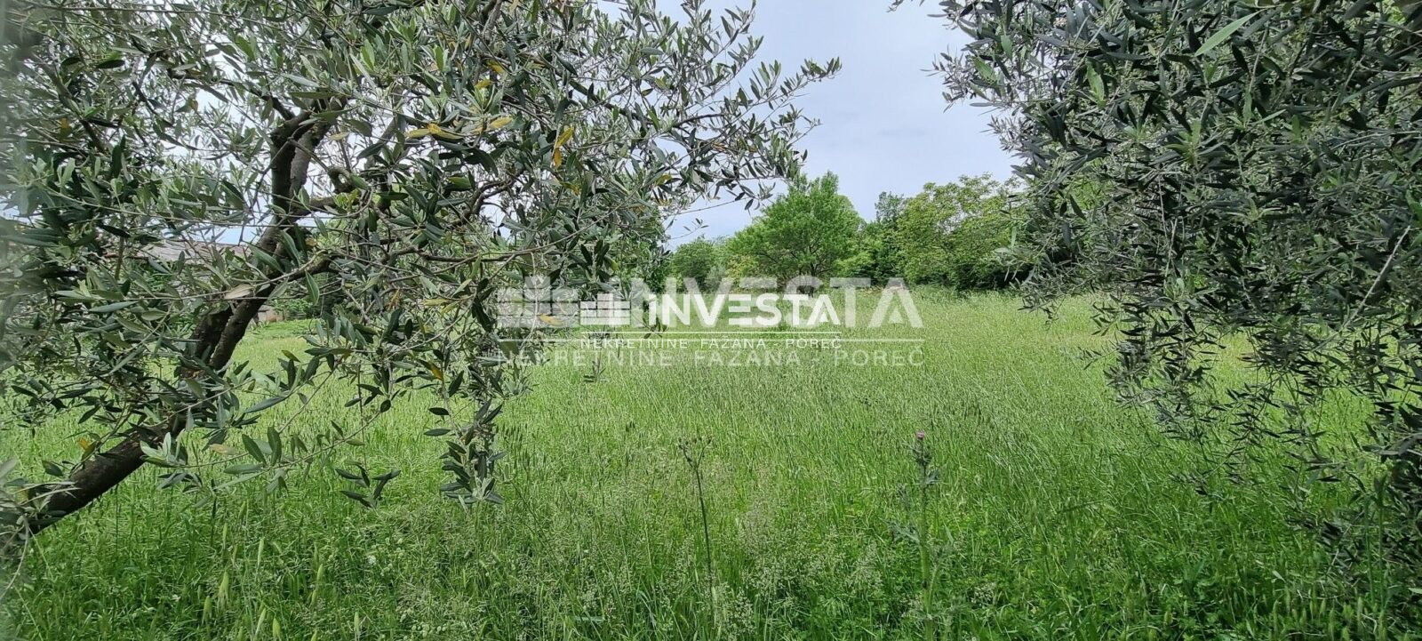 Kaštelir, građevinsko zemljište od 752 m2 - cover