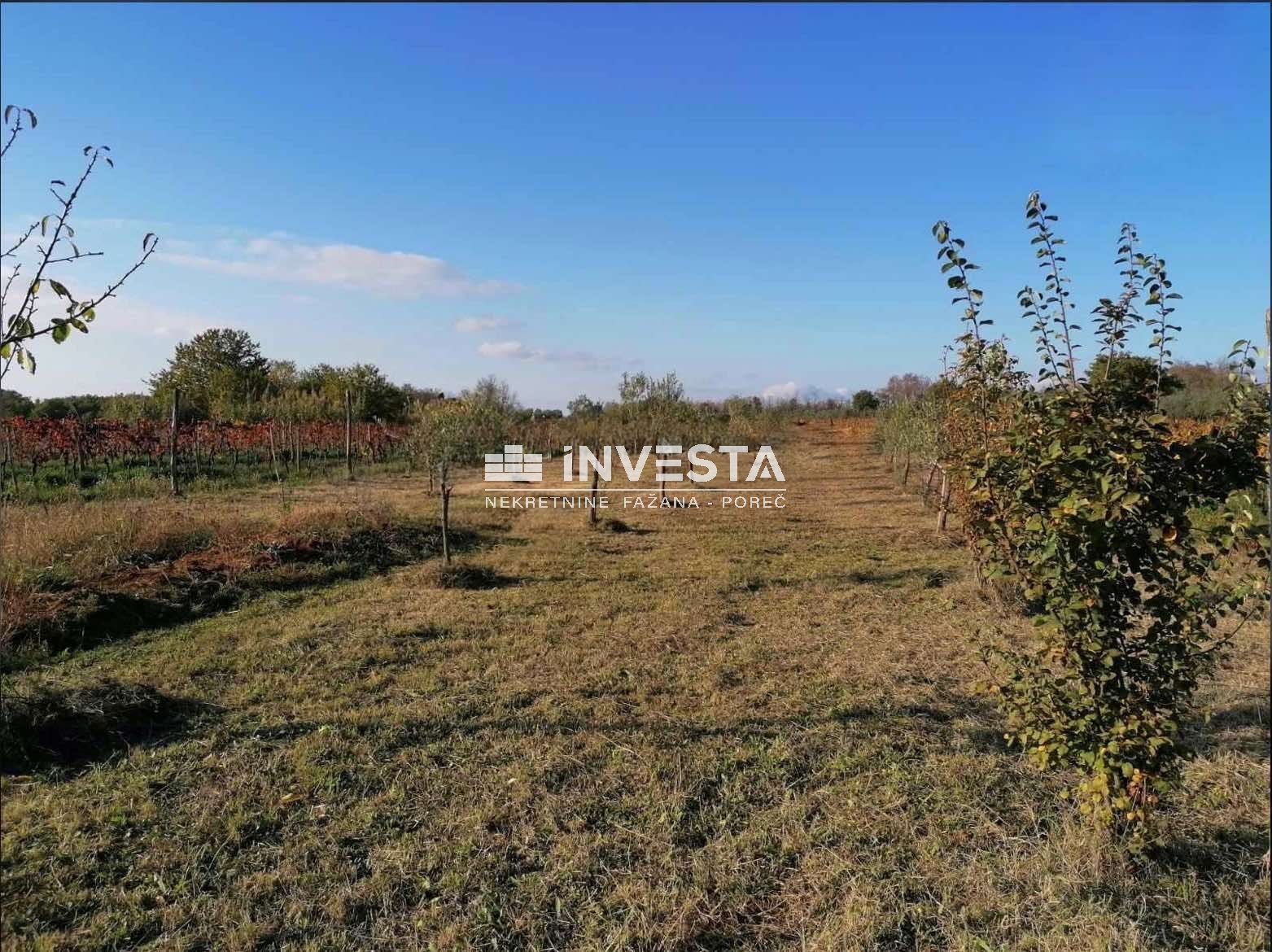Poreč, Kaštelir, maslinik 1216 m2 - cover