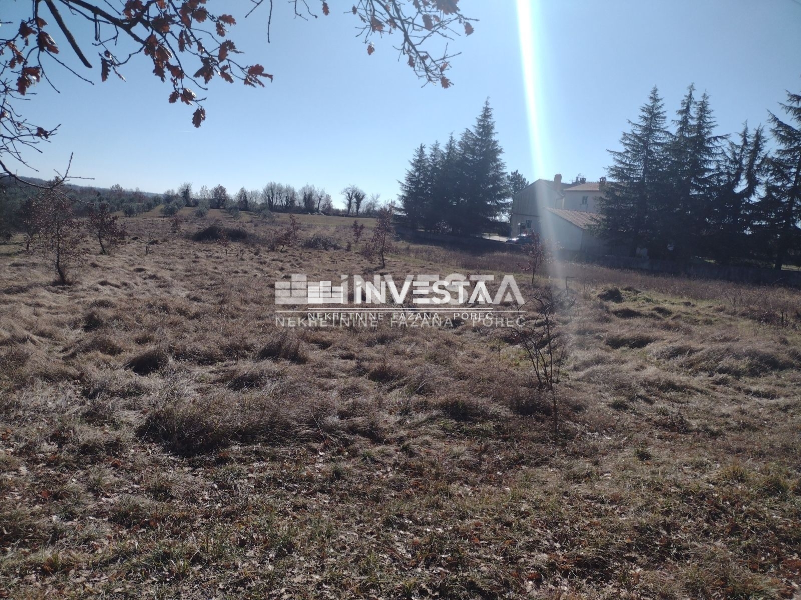 Višnjan okolica, građevinsko zemljište 5.000 m2 - cover
