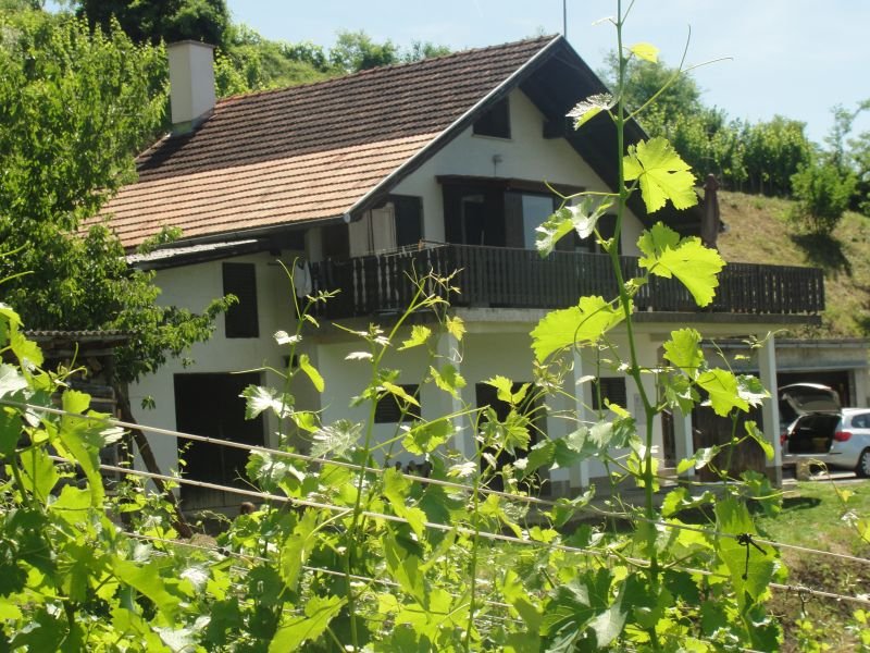 Kuća: Klanjec, 100 m2 - VINOGRAD 2000 trsova+voćnjak sa 50 voćaka !!! (prodaja) - cover