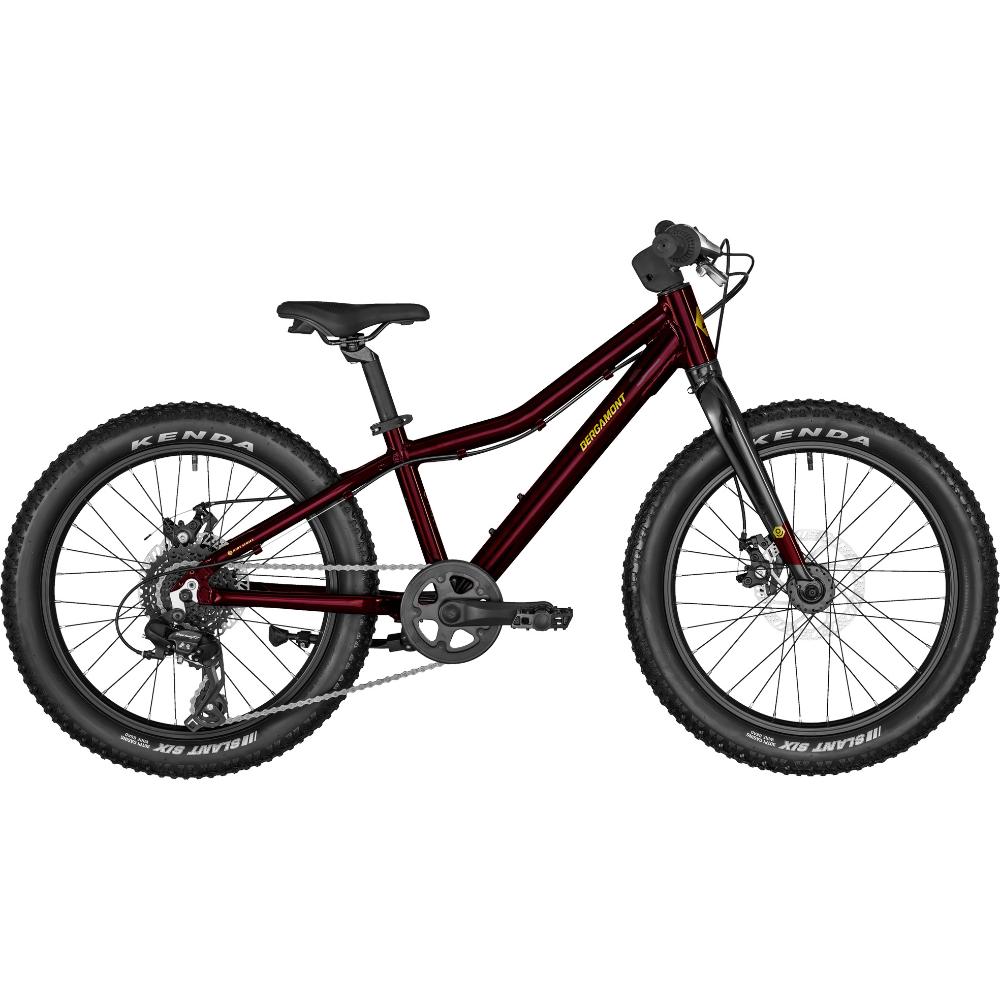 Bicikl BERGAMONSTER 20 PLUS - cover