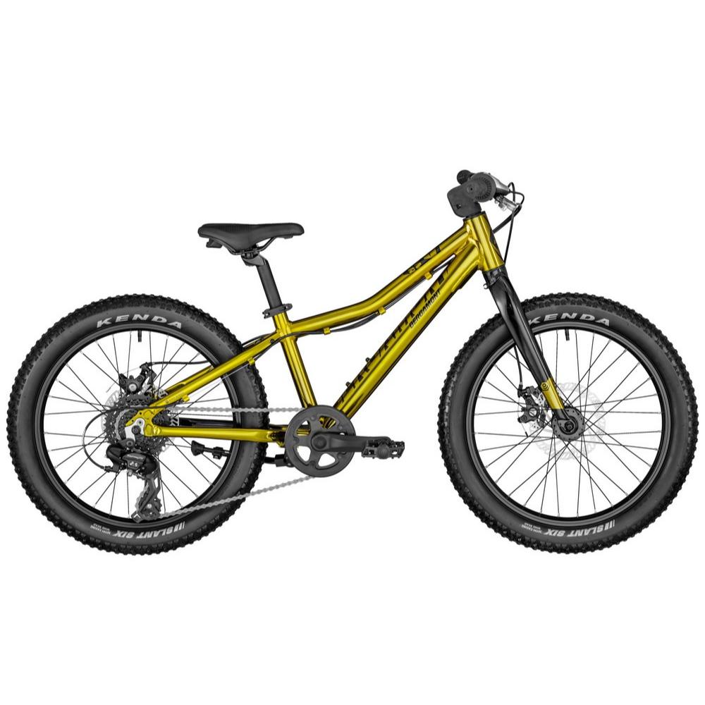 Bicikl BERGAMONSTER 20 PLUS - cover