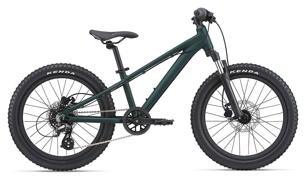 BICIKL GIANT STP 20 - cover